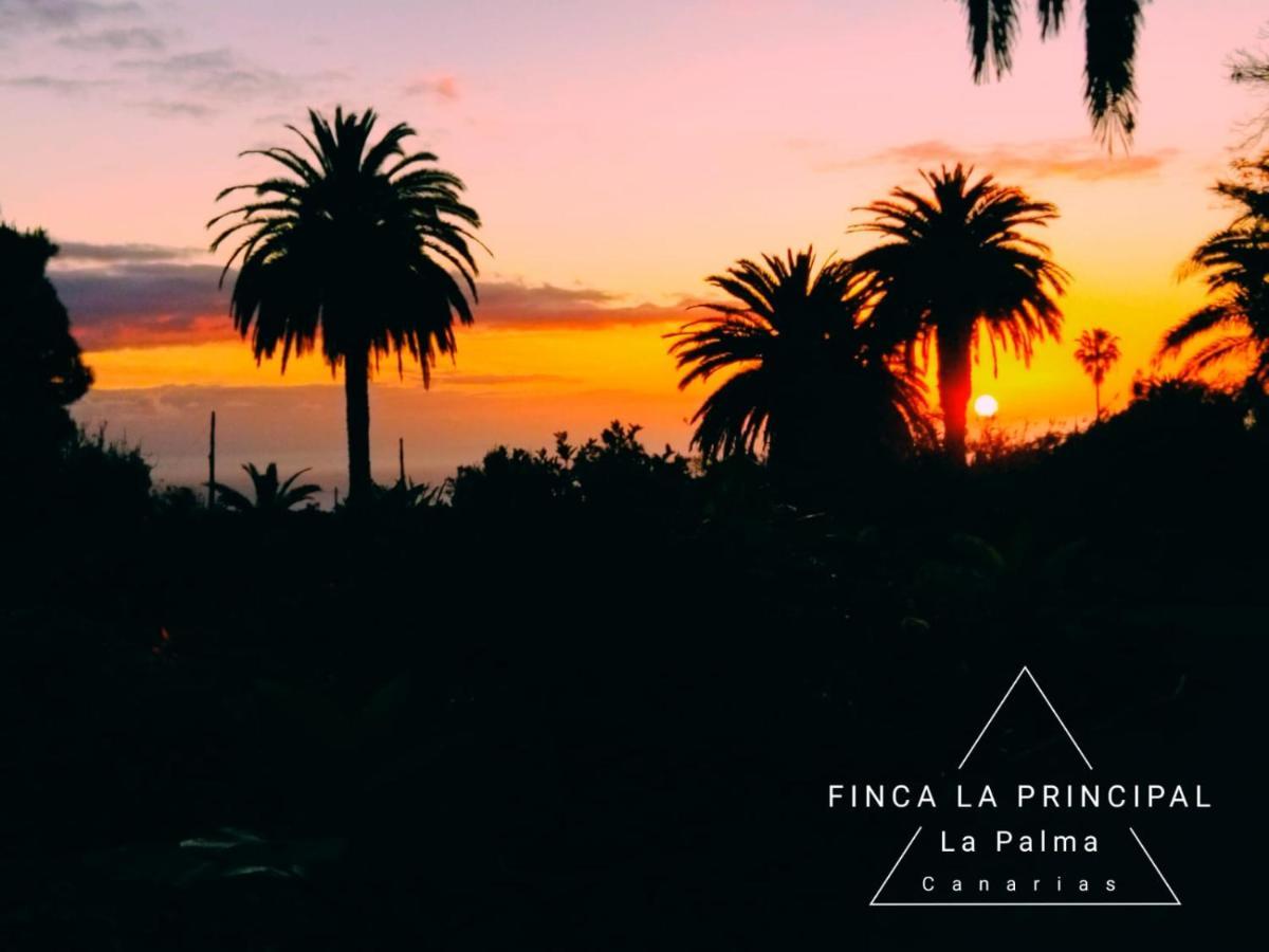 Finca La Principal Brena Alta Luaran gambar