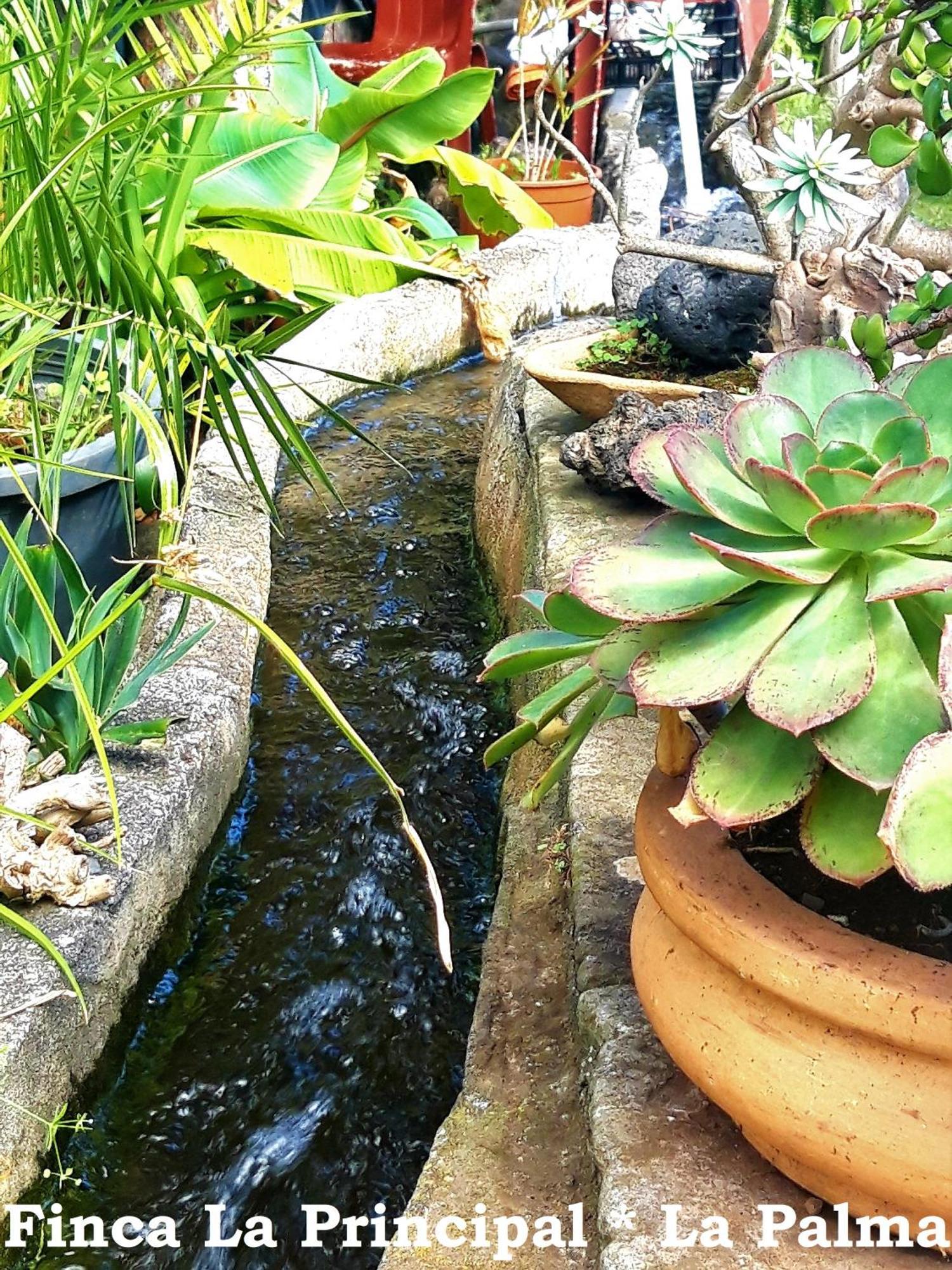 Finca La Principal Brena Alta Luaran gambar