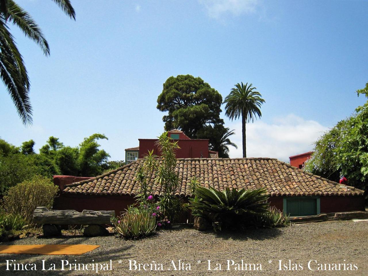 Finca La Principal Brena Alta Luaran gambar