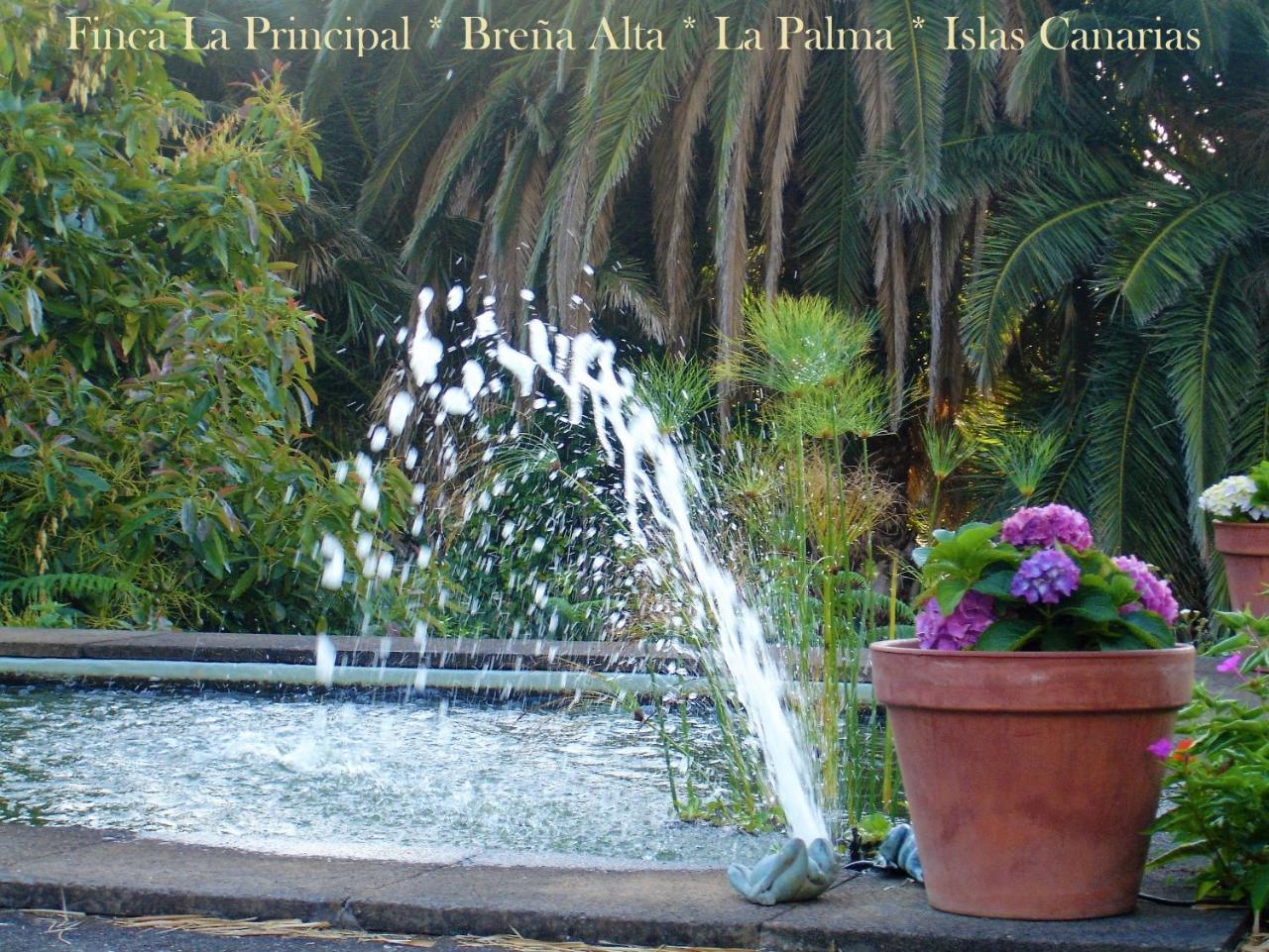 Finca La Principal Brena Alta Luaran gambar